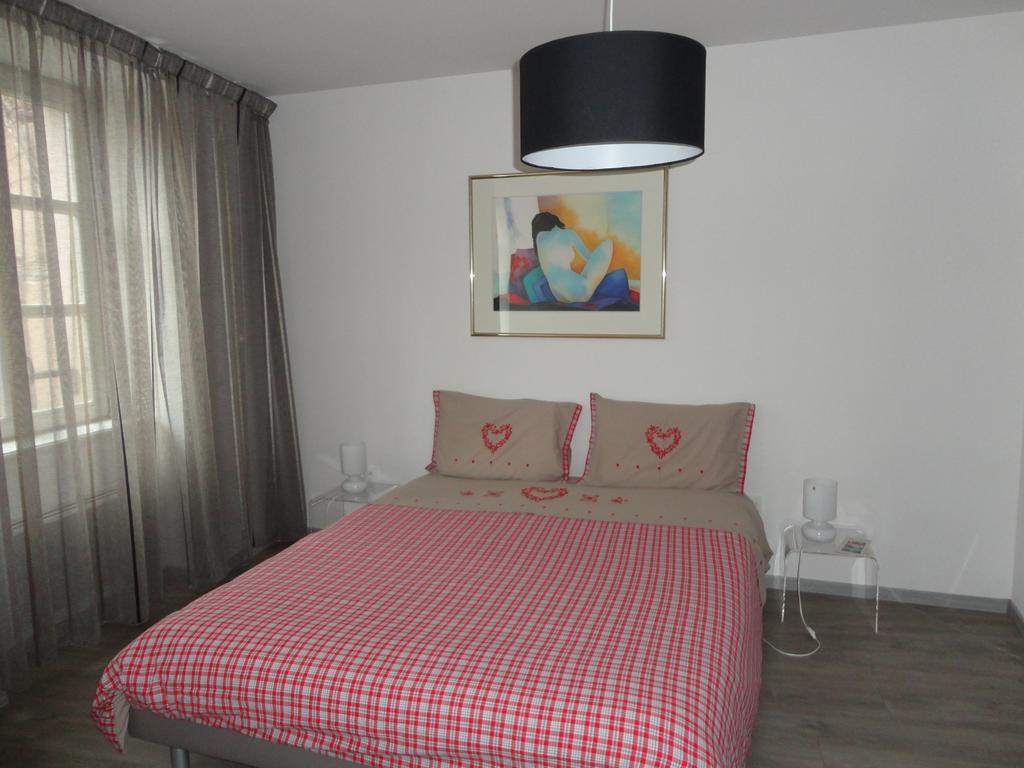A L'Ill - Apparts & Studios Strasbourg Hyper Centre Bilik gambar